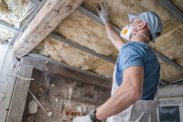 Best Geographic-Specific Insulation Services in Redmond, WA